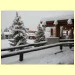 DSCN4539.JPG